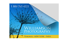 60lb slit back label / Stickers